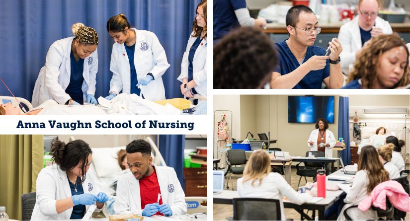 nursing high pass rate exam